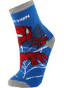 DEFACTO Boy Spiderman Licensed 2 piece Winter Socks