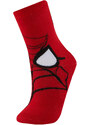 DEFACTO Boy Spiderman Licensed 2 piece Winter Socks