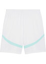 Šortky Puma ÖFB Shorts Replica 2024 774022-02