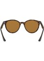 Ray-Ban RB4305 710/83