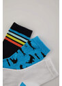 DEFACTO Boy 3 piece Long sock