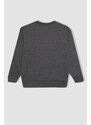 DEFACTO Boy Printed Sweatshirt Sweatpants 2 Piece Set