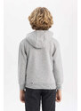 DEFACTO Boy Printed Hooded Thick Sweatshirt