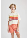 DEFACTO Boy Oversize Fit Crew Neck Striped T-Shirt