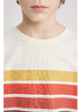 DEFACTO Boy Oversize Fit Crew Neck Striped T-Shirt