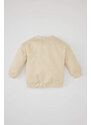 DEFACTO Baby Boy Crew Neck Animal Patterned Thin Sweatshirt