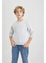 DEFACTO Boy Regular Fit Crew Neck Sweatshirt