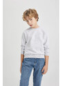 DEFACTO Boy Regular Fit Crew Neck Sweatshirt