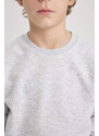 DEFACTO Boy Regular Fit Crew Neck Sweatshirt