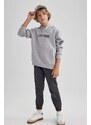 DEFACTO Oversize Fit Hooded Sweatshirt