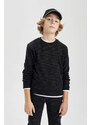 DEFACTO Regular Fit Crew Neck Sweatshirt