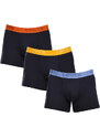 3PACK pánské boxerky Levis vícebarevné (905045001 024)