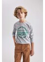 DEFACTO Boy Crew Neck Printed Long Sleeve T-Shirt