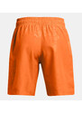 Under Armour UA Woven Emboss Short