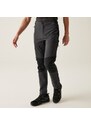 Pánské softshellové kalhoty Regatta QUESTRA V šedá/černá