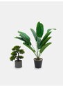 Sinsay - Dekorativní umělá rostlina - zelená