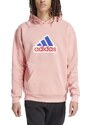 Mikina adidas M FI BOS HD OLY is9597