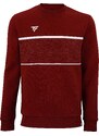 Pánská mikina Tecnifibre Club Sweater Cardinal M