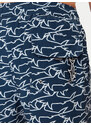 Plavecké šortky Paul&Shark