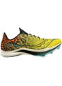 Tretry Saucony ENDORPHIN CHEETAH s29095-85