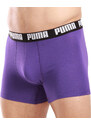 2PACK pánské boxerky Puma vícebarevné (701226387 015)