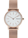 Hodinky Skagen