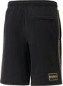 Pánské šortky PUMA KING Sweat Shorts black