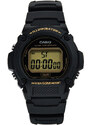 Hodinky Casio