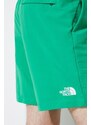 Plavkové šortky The North Face M Water Short zelená barva, NF0A5IG5PO81