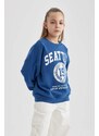 DEFACTO Oversize Fit Crew Neck Sweatshirt