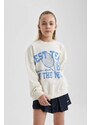 DEFACTO Oversize Fit Crew Neck Sweatshirt