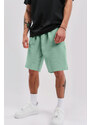 Šortky, Barva Světle Zelená, s Potiskem French Stripe