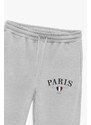 Tepláky Jogger , Barva Šedá, s Potiskem Paris XXXIII