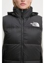 Vesta The North Face 1996 RETRO NUPTSE VEST