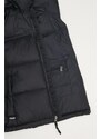 Vesta The North Face 1996 RETRO NUPTSE VEST