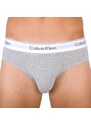 2PACK pánské slipy Calvin Klein vícebarevné (NB1084A - BHY)